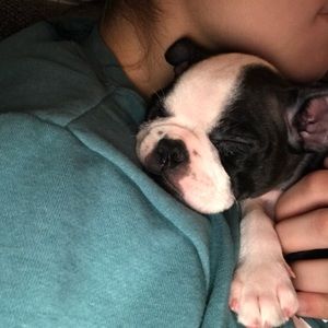 Meet your Posher, Cristine